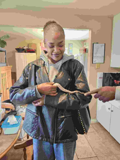 reptile adoption happy